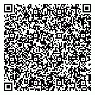 vCard 79397133883