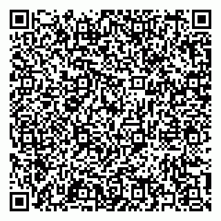 vCard 79397133887