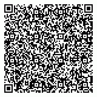 vCard 79397133891