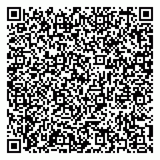 vCard 79397133895