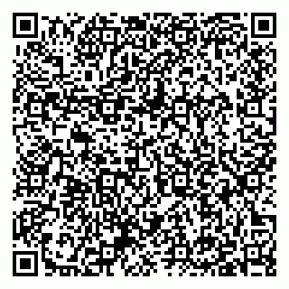 vCard 79397133897