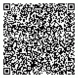 vCard 79397133913
