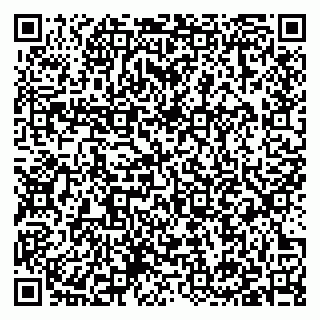 vCard 79397133918