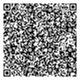 vCard 79397133921
