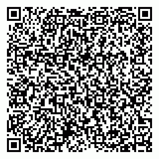 vCard 79397133927