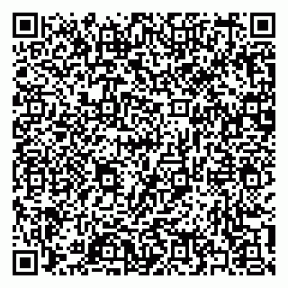 vCard 79397133979