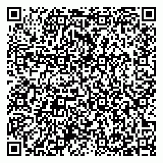 vCard 79397133987