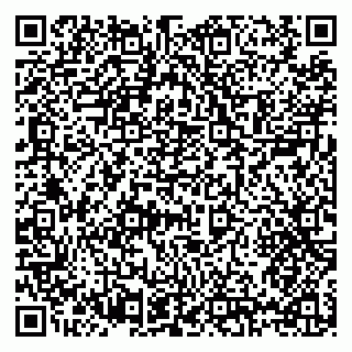 vCard 79397134004