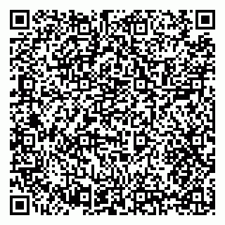 vCard 79397134063