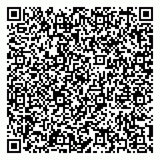 vCard 79397134085