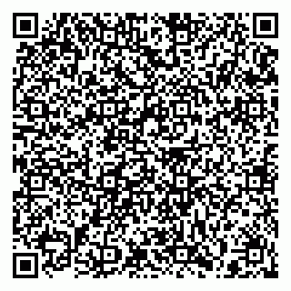 vCard 79397134333