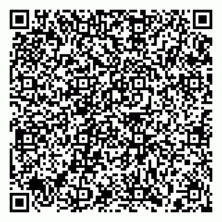 vCard 79397134873