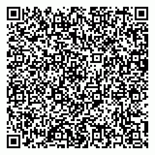 vCard 79397135132
