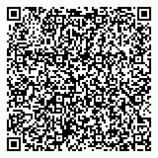 vCard 79397135285