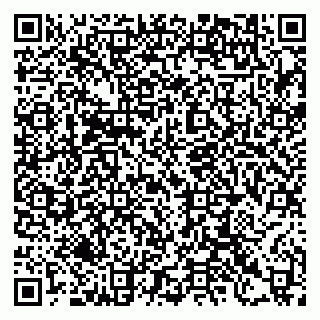 vCard 79397135295