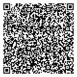 vCard 79397135296