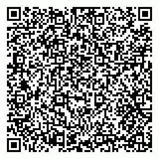 vCard 79397135305