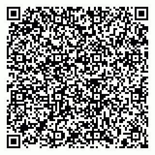 vCard 79397135311