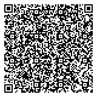 vCard 79397135313
