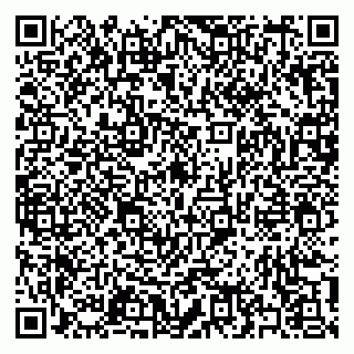 vCard 79397135317