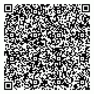 vCard 79397135330