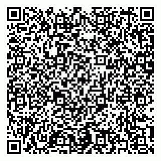 vCard 79397135873