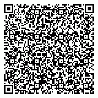 vCard 79397136331