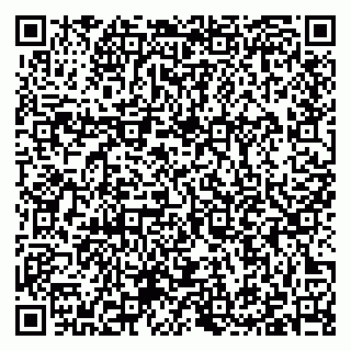 vCard 79397136881