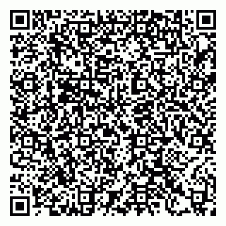 vCard 79397137287