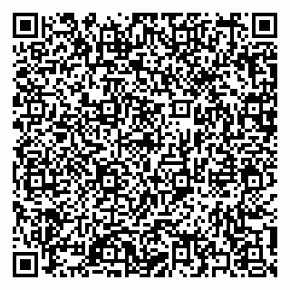 vCard 79397137290