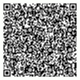 vCard 79397137321