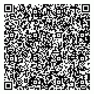 vCard 79397137333