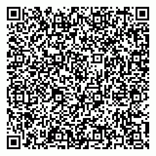 vCard 79397137381