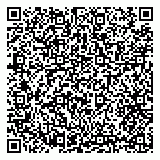 vCard 79397137384