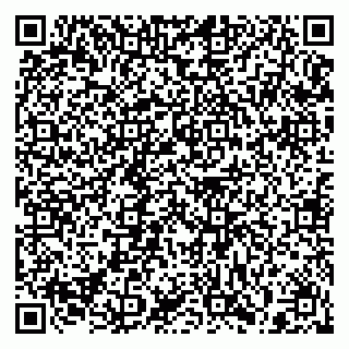 vCard 79397137389