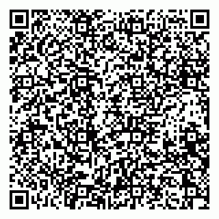 vCard 79397137399
