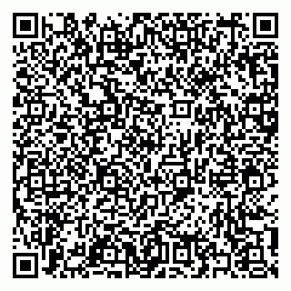 vCard 79397137421