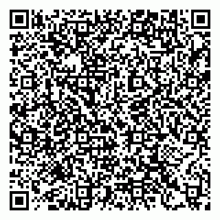 vCard 79397137503