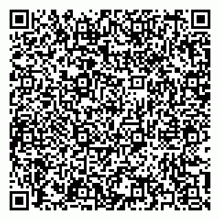 vCard 79397137703