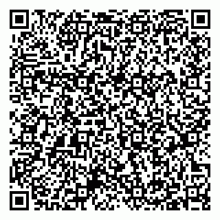 vCard 79397137711