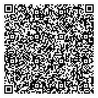 vCard 79397137874