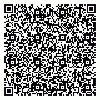 vCard 79397137881