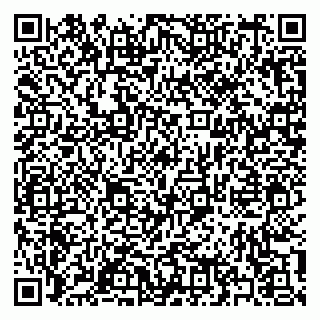 vCard 79397137884