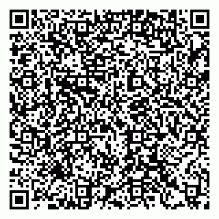 vCard 79397138003