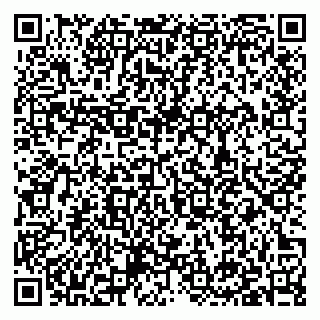 vCard 79397138013
