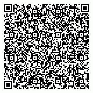 vCard 79397138100