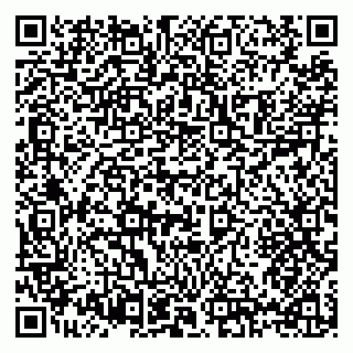 vCard 79397138133