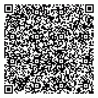 vCard 79397138203