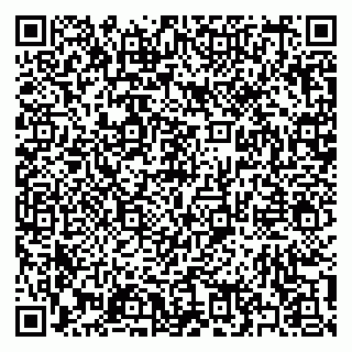 vCard 79397138204