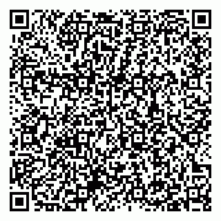 vCard 79397138205